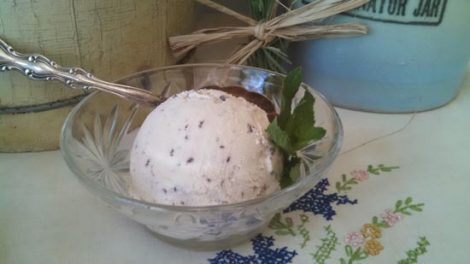 homemade mint-chocolate chip ice cream